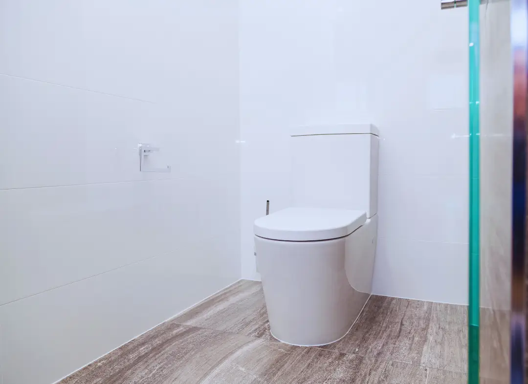 Remplacement de wc Saint-Alban-Leysse